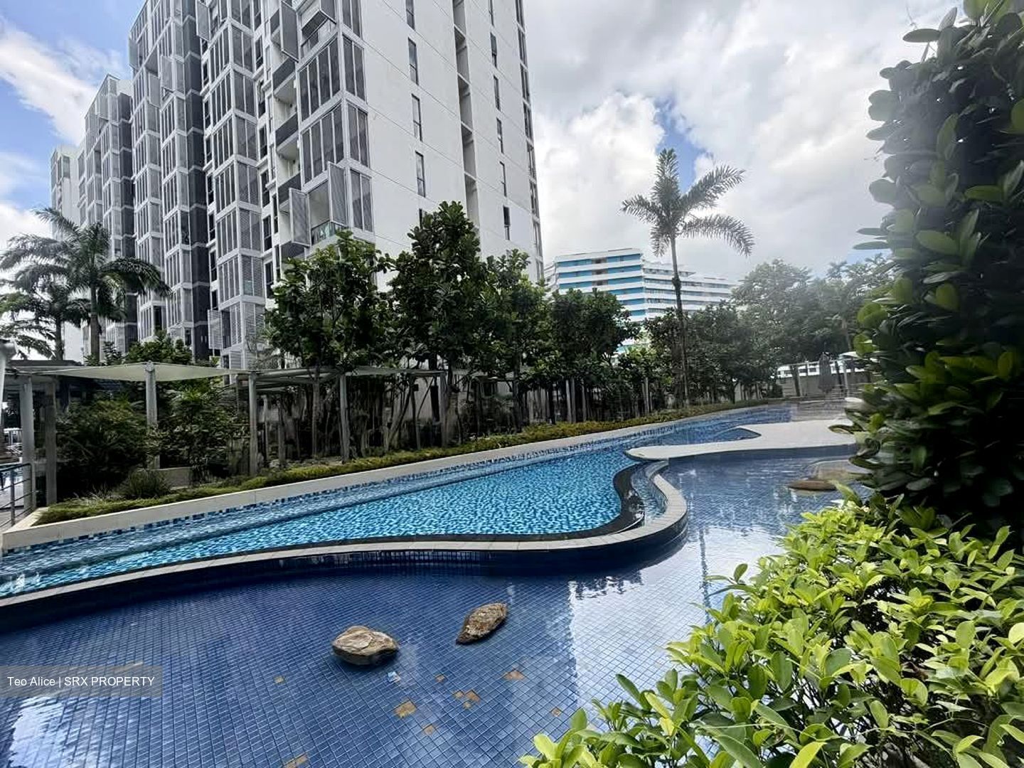 Watertown (D19), Apartment #578586961